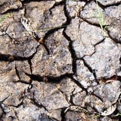 degradacja-gleby-rynek_rolny